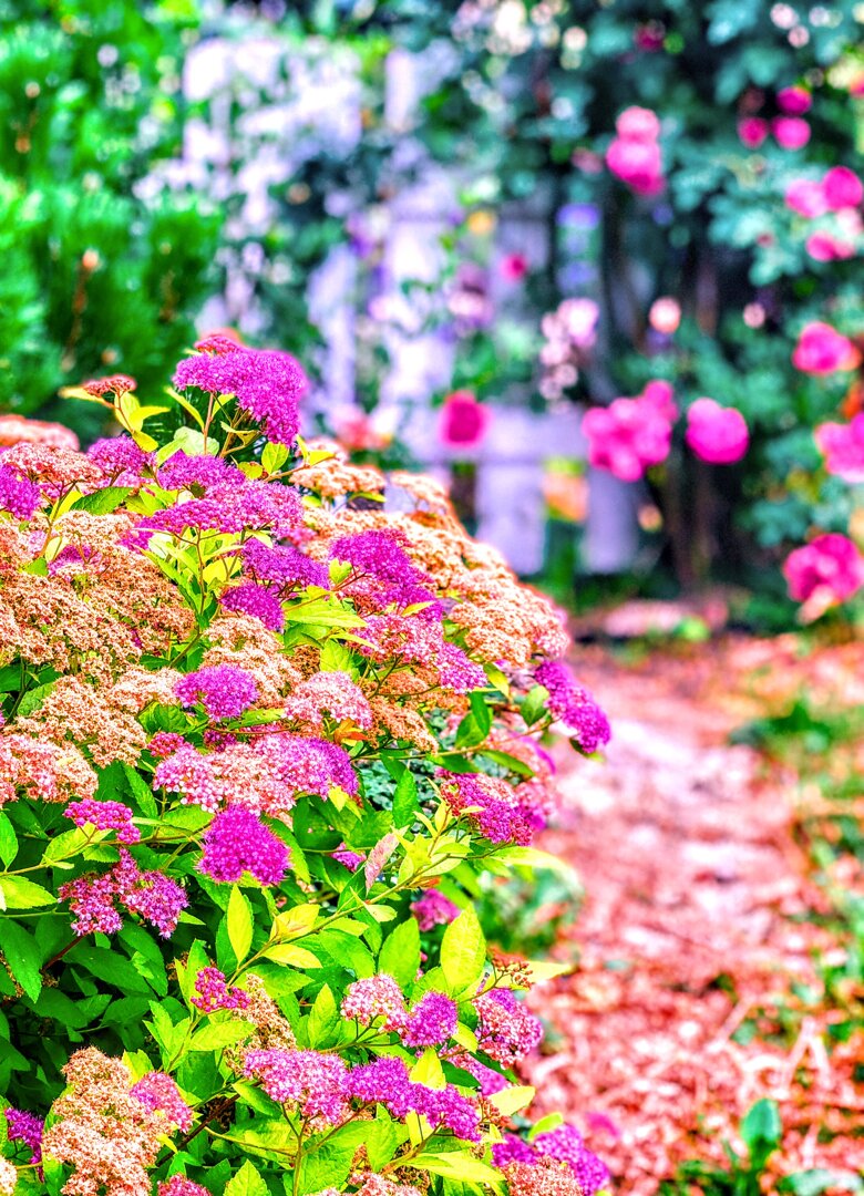  <arboretum Wojsławice> <noclegi blisko arboretum> <słynne arboretum Polska w okolicy>