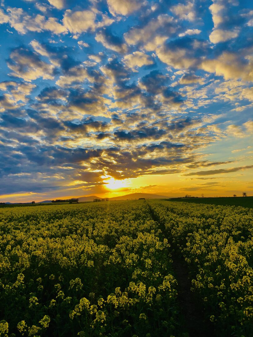 góra Ślęża noclegi> <noclegi blisko Ślęża>